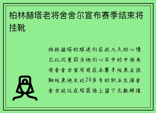 柏林赫塔老将舍舍尔宣布赛季结束将挂靴